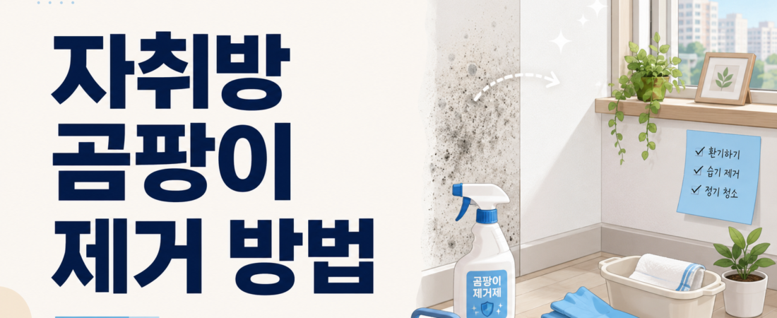 자취방 곰팡이 제거 방법, 창틀·벽지·욕실 곰팡이 이렇게 없애세요