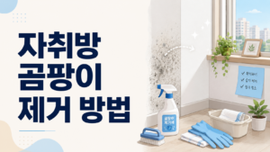 원룸 창틀과 벽에 생긴 곰팡이를 확인하고 청소하는 자취방 모습
